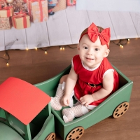 Foto miniatura do ensaio de 7 meses da Ayla